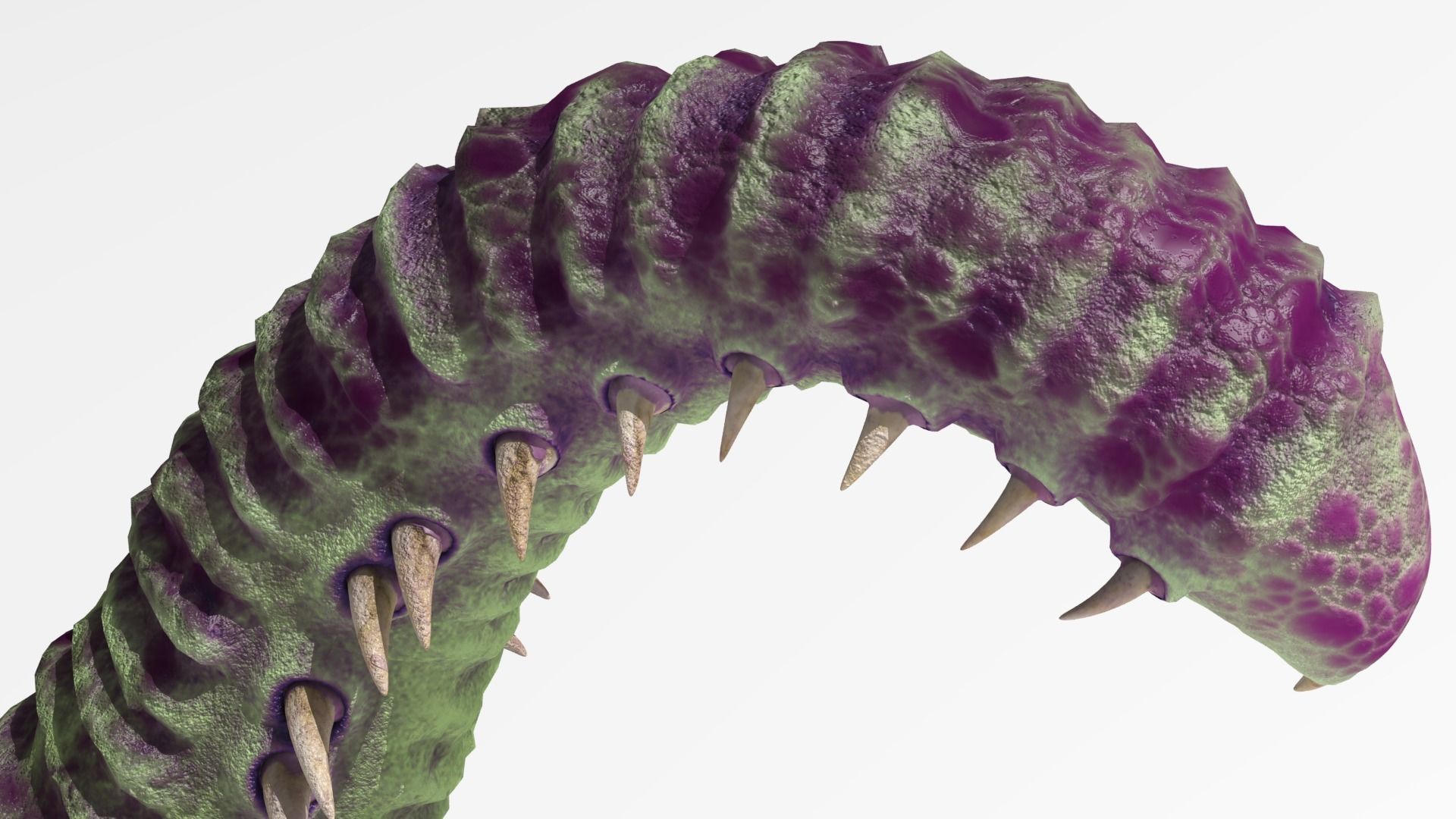 Worm tentacle 3D model_8