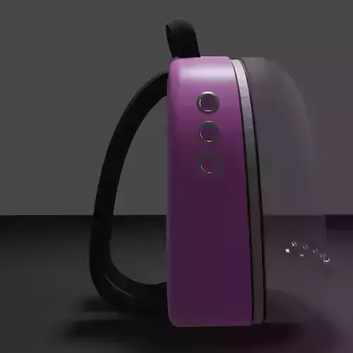 Backpack pet carrier model C