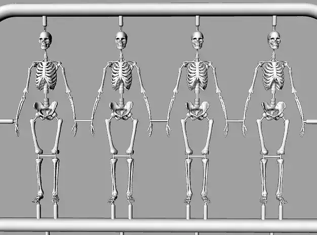 Tabletop gaming miniature poseable skeletons 32mm  3D print model