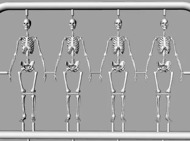 Tabletop gaming miniature poseable skeletons 32mm  3D print model_0