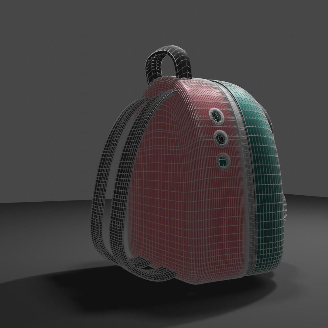 Backpack pet carrier model D 3D model_3