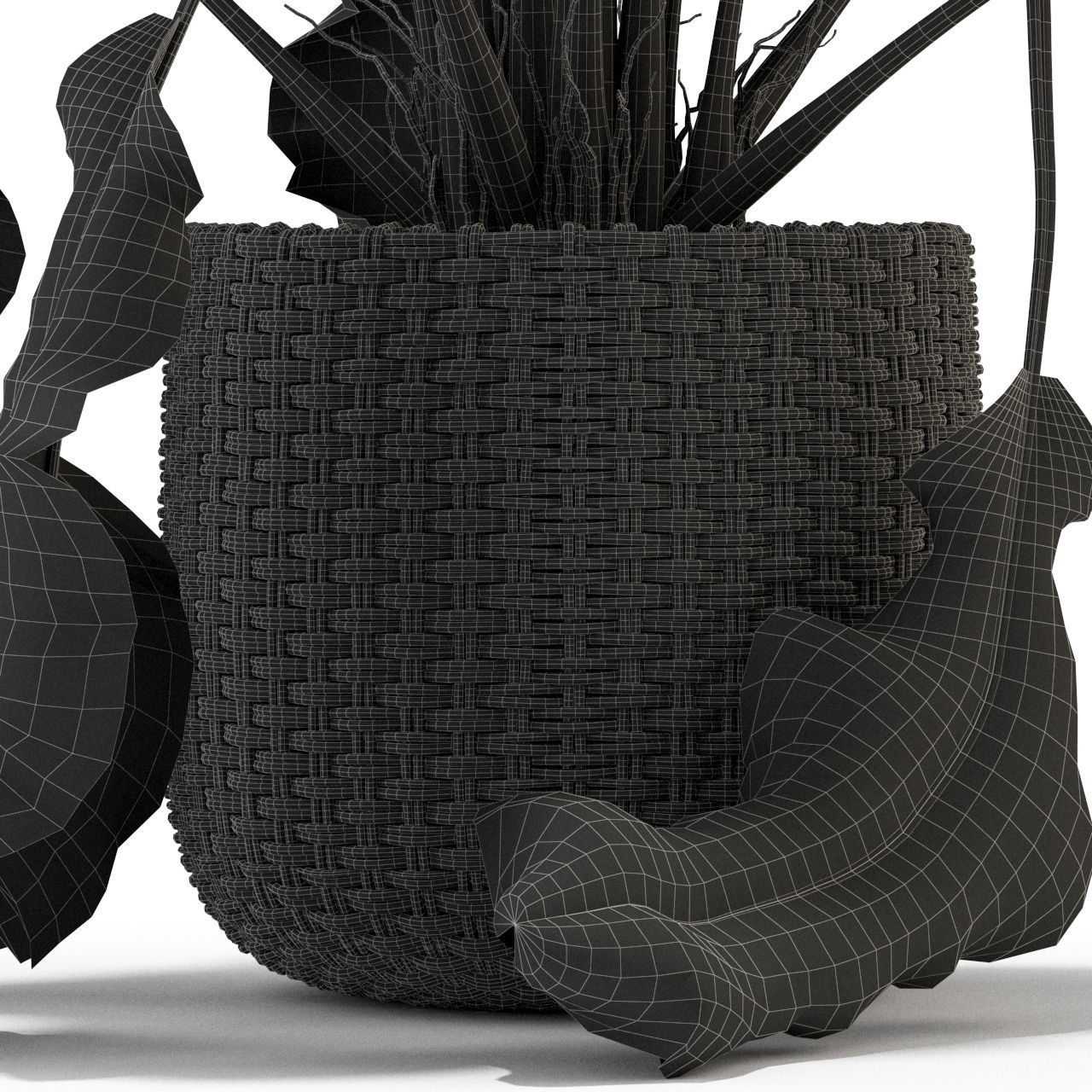 Plants collection 330 3D model_5