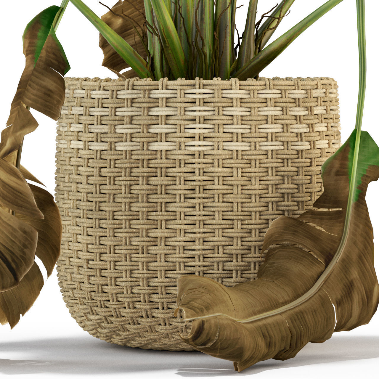 Plants collection 330 3D model_3