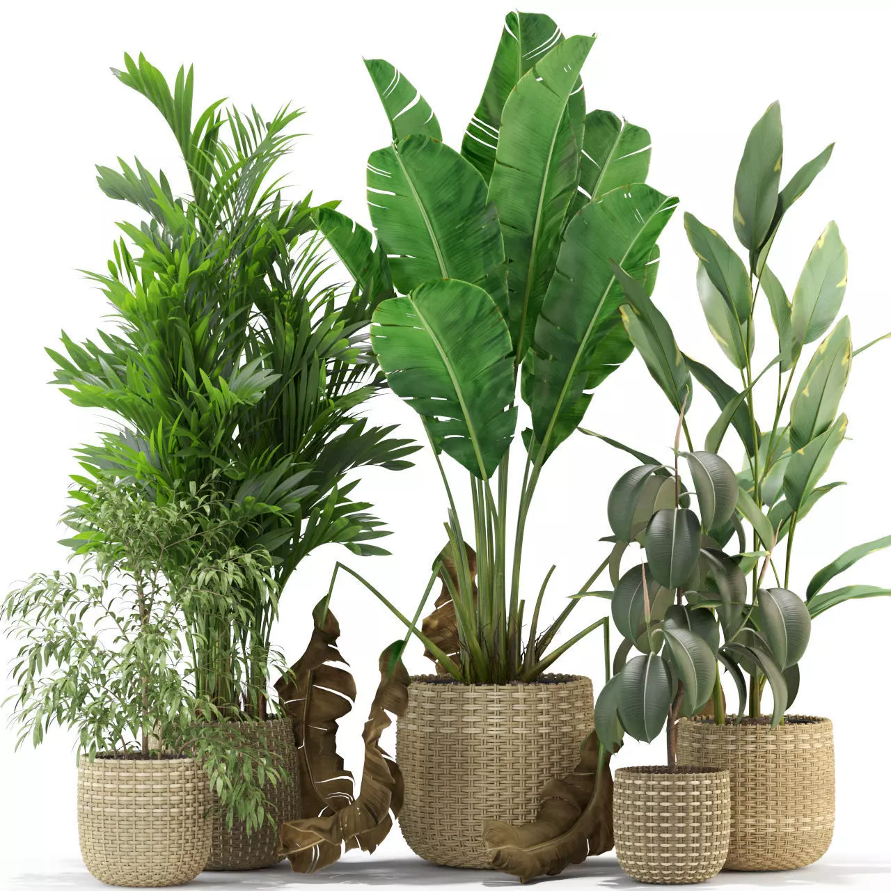 Plants collection 330 3D model_0