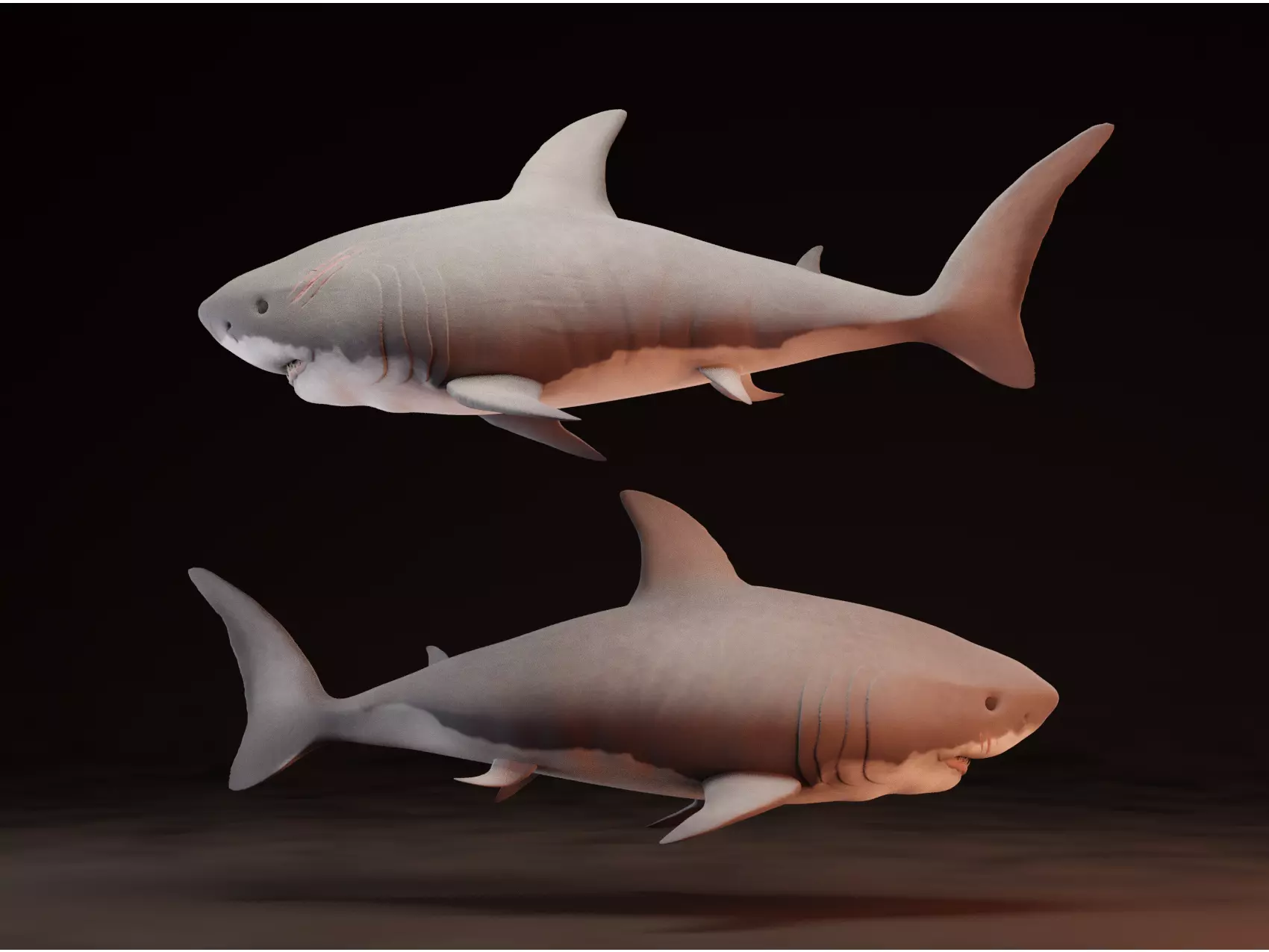 Sharko two sharks 3D model_0