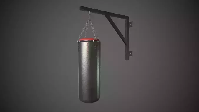 Boxing Bag