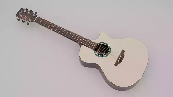 Acoustic guitar - HEX GA450CE-G