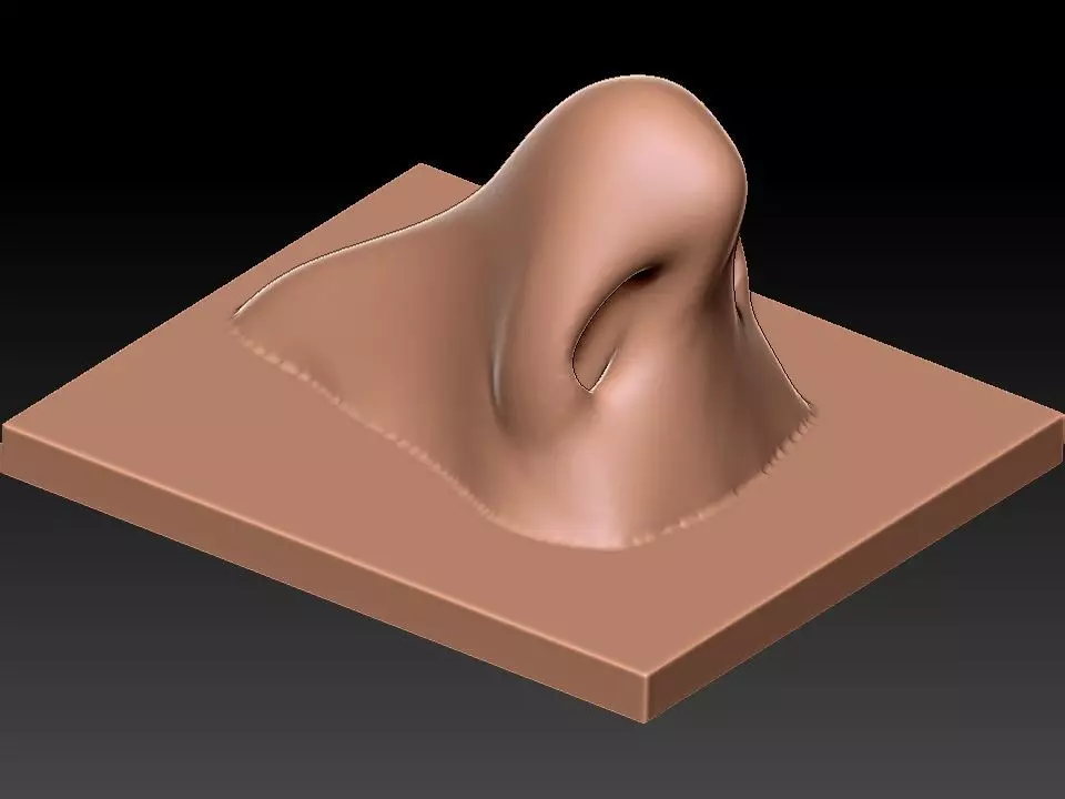 3D NOSE silver on wall Free 3D model