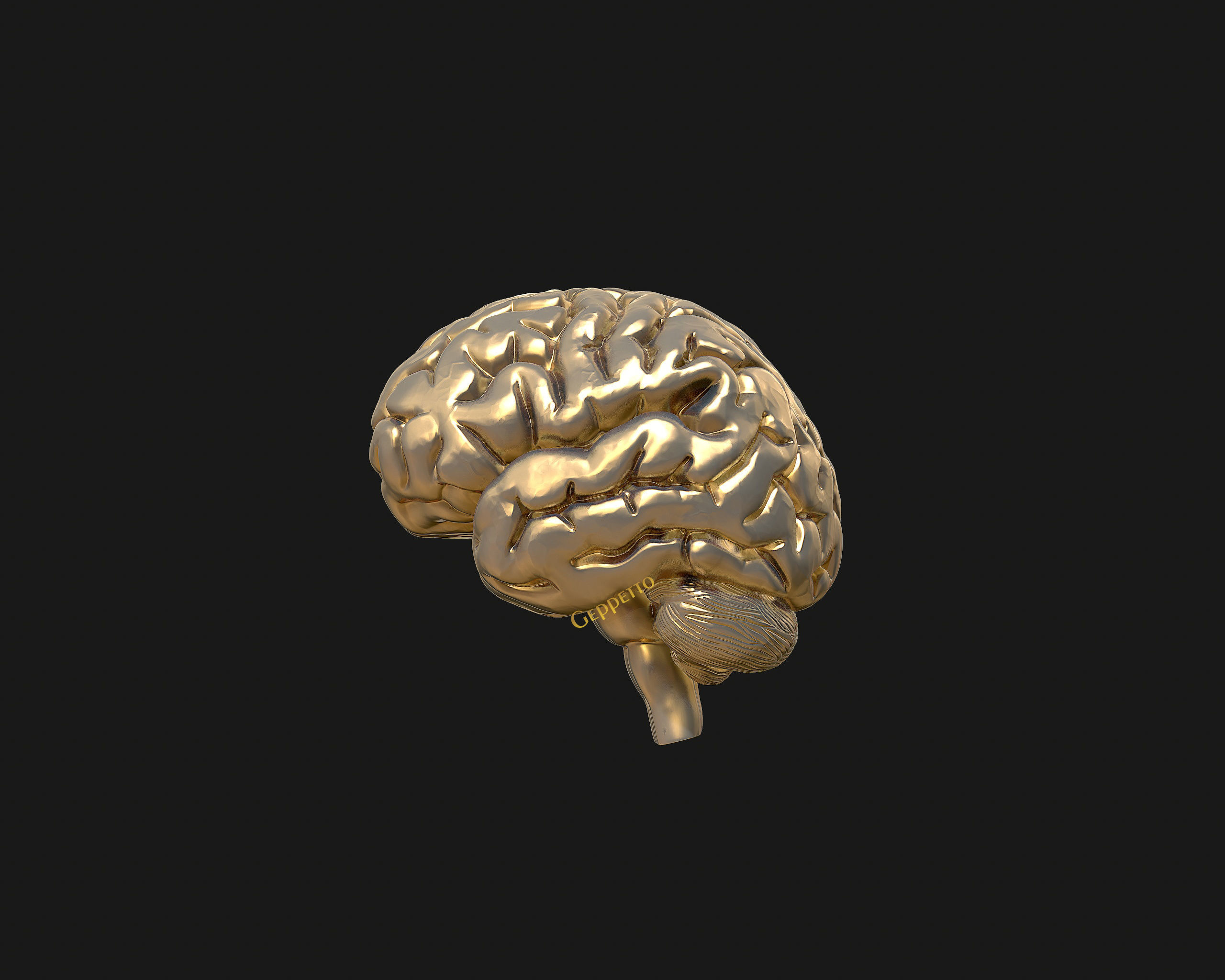human Brain 3D model Ready to 3D print 3D model 3D printable | CGTrader
