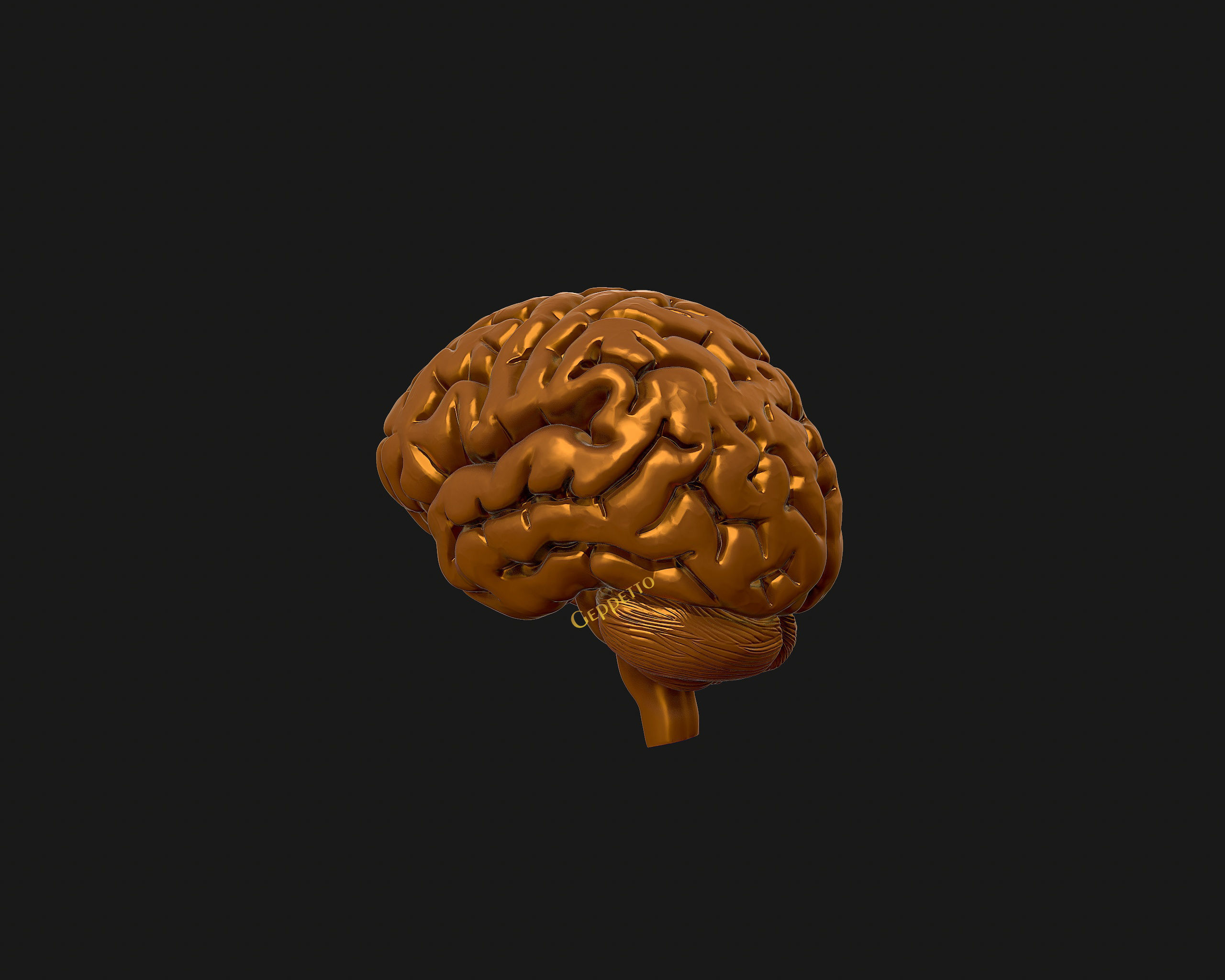 human Brain 3D model Ready to 3D print 3D model 3D printable | CGTrader