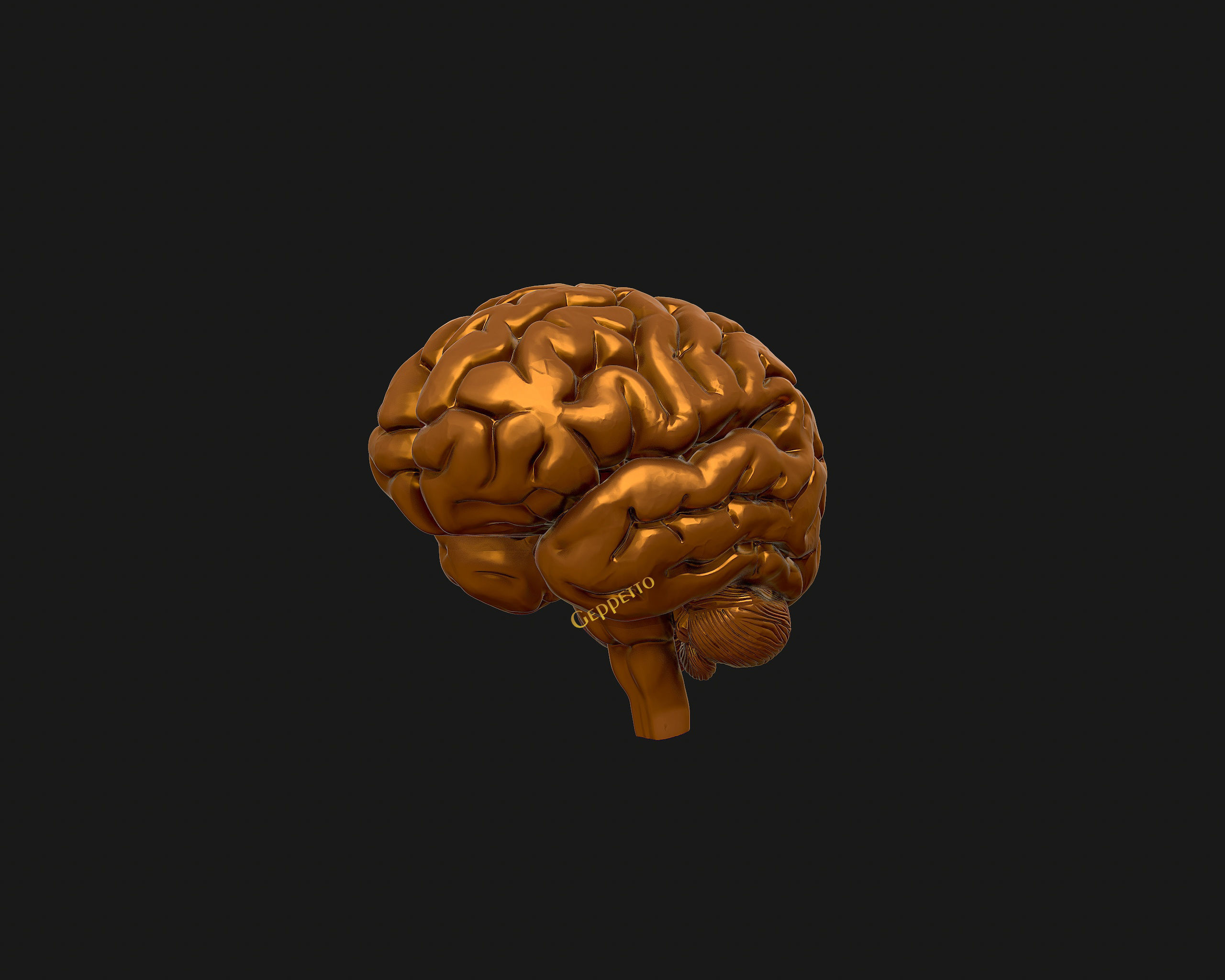 human Brain 3D model Ready to 3D print 3D model 3D printable | CGTrader