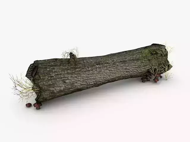 Low poly dead trunk with mushrooms Low-poly 3D model