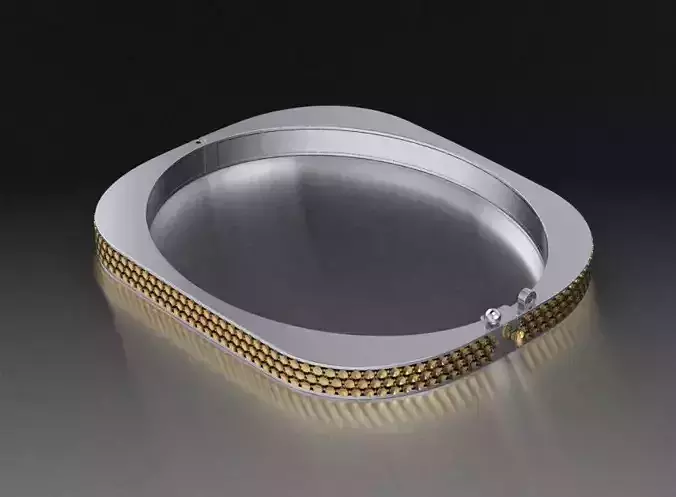 braceate gold and silver bangle
