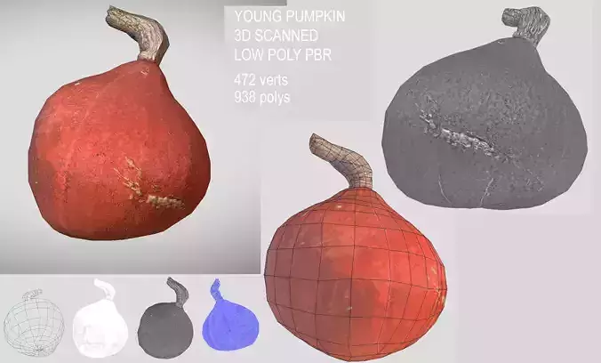 Young orange pumpkin Low-poly 3D model