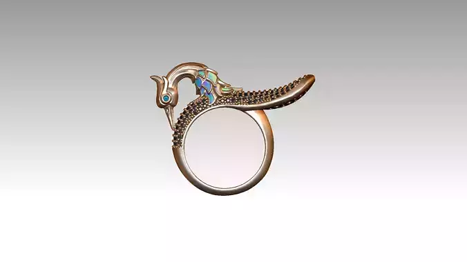bird ring