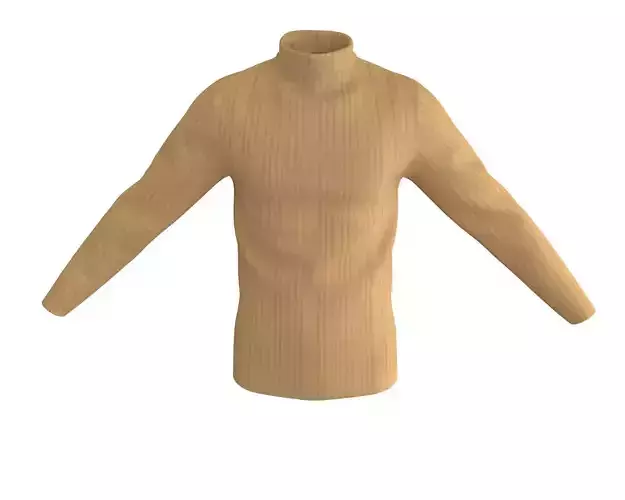 3 D Men Turtleneck Sweater 3D model