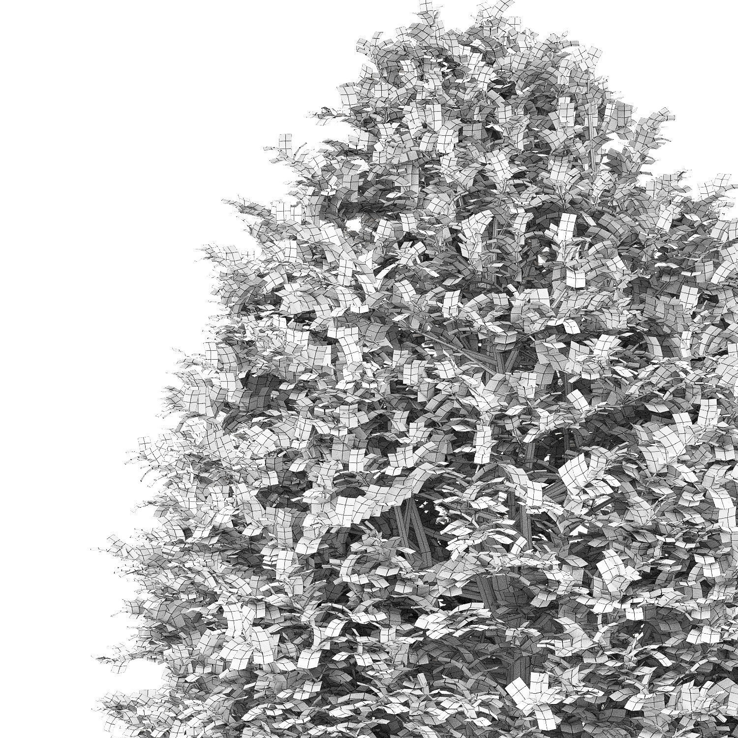 Buxus 01 3D model_2