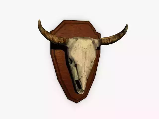 Buffalo skull trophy