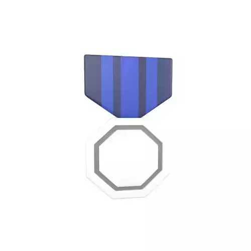 Medal v7 002