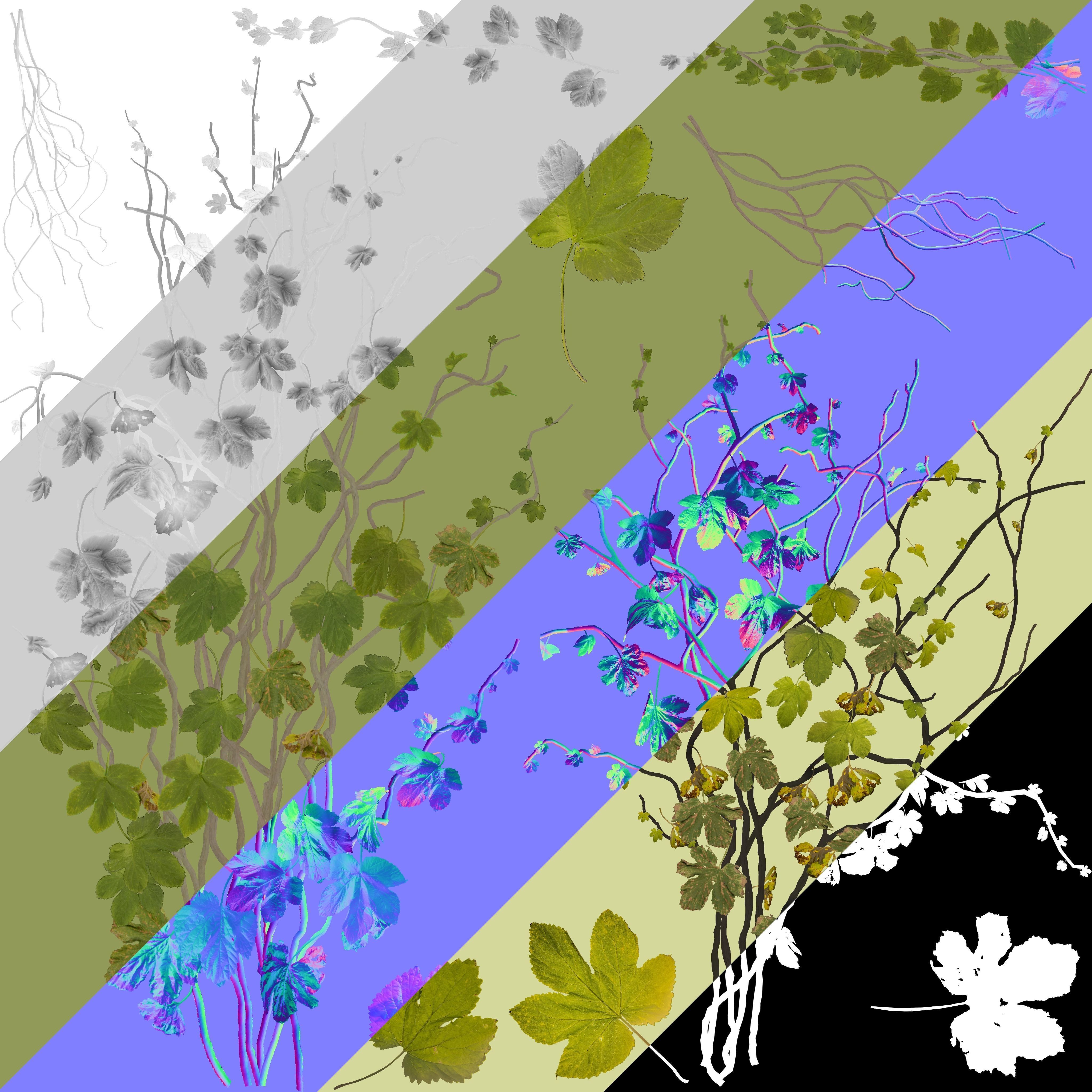 Ivy Set for Games Low-poly 3D model_7