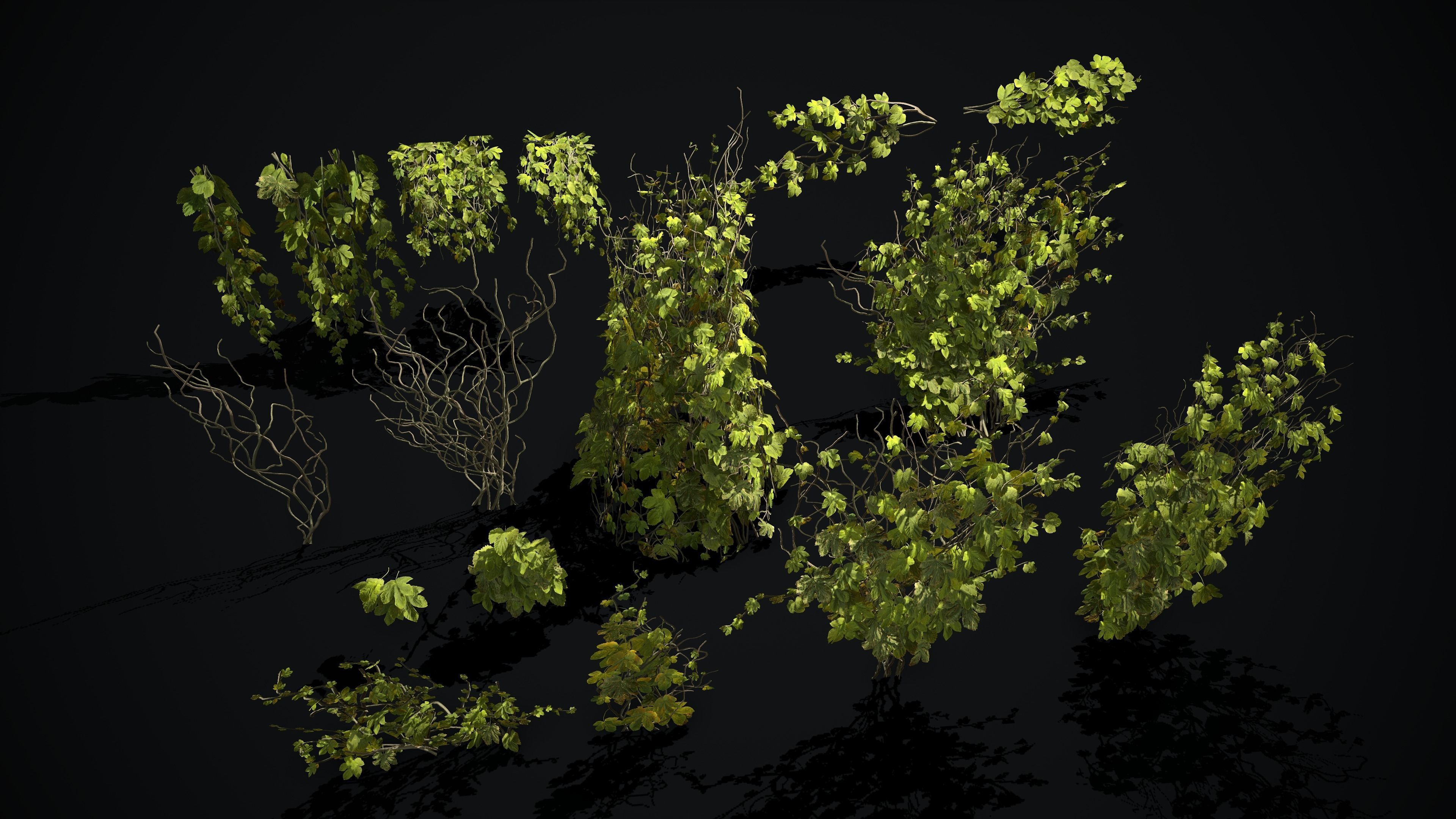 Ivy Set for Games Low-poly 3D model_3
