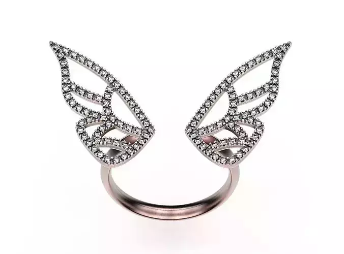 Ring Two Wings