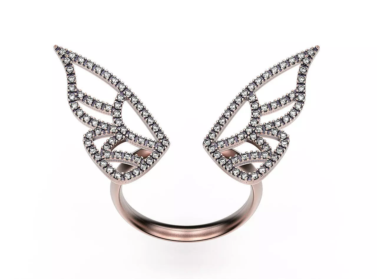 Ring Two Wings 3D print model_0