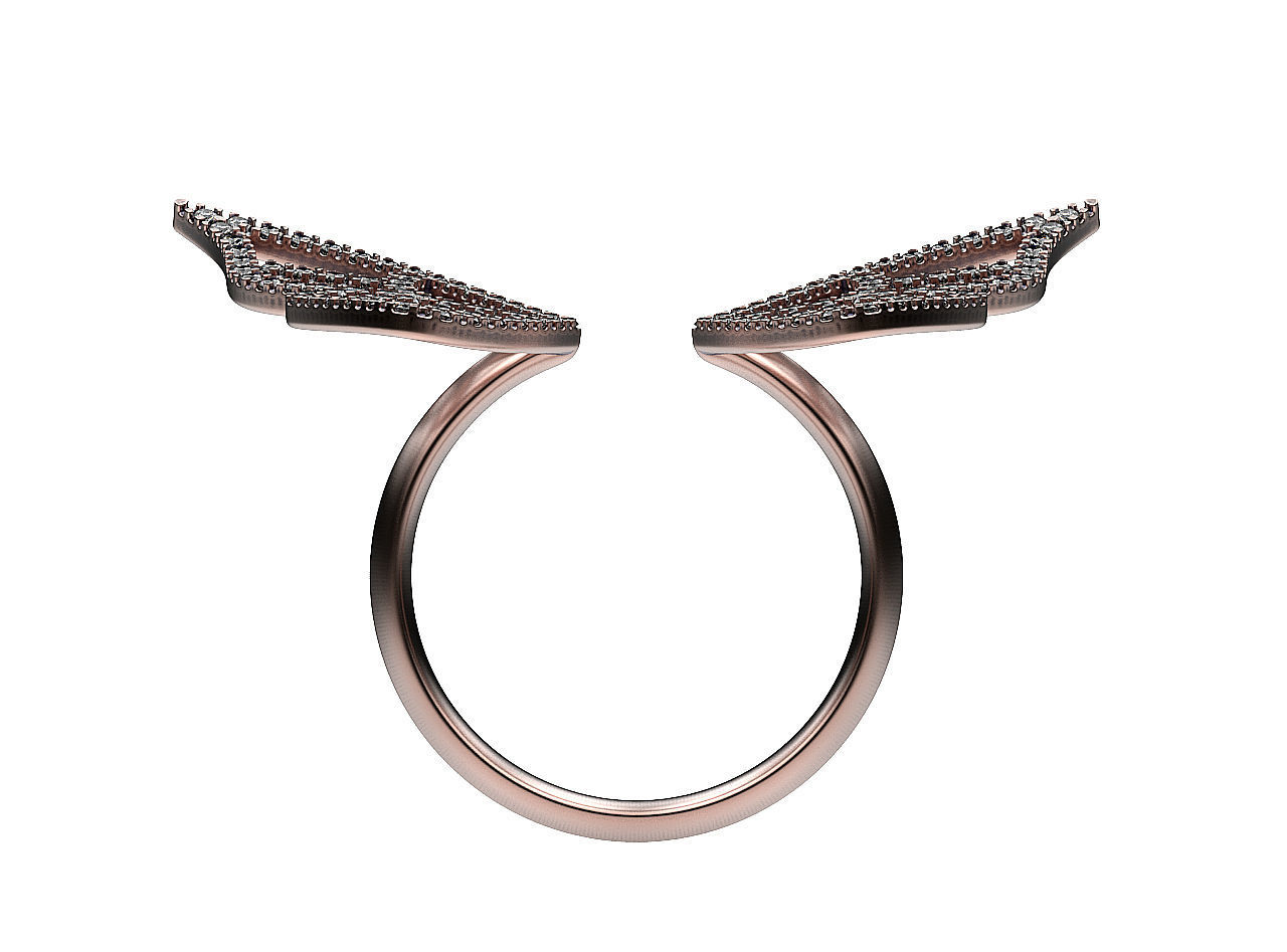 Ring Two Wings 3D print model_6