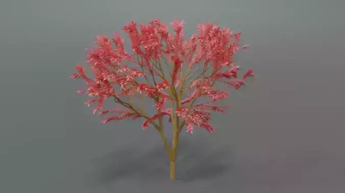 Low Poly Cartoon Tree