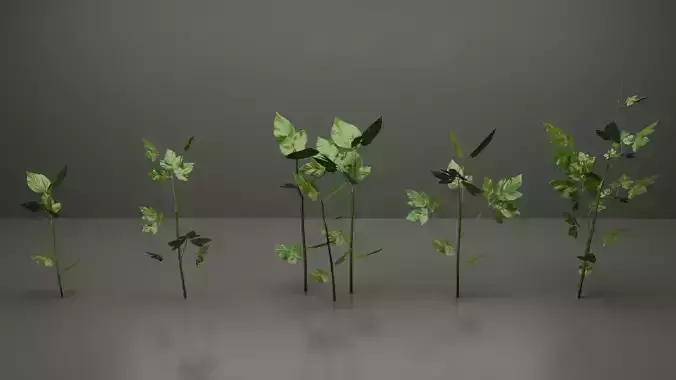 Small Plants Low-poly 3D model
