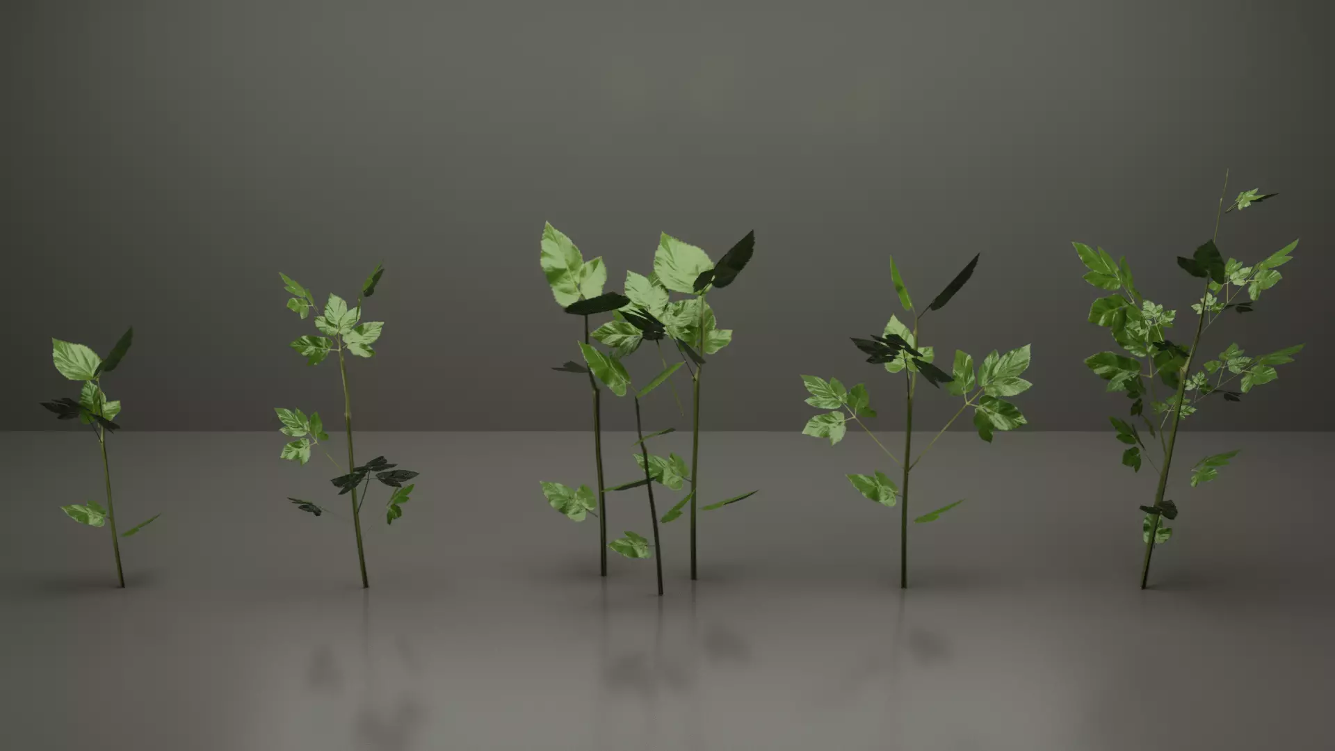 Small Plants Low-poly 3D model_0