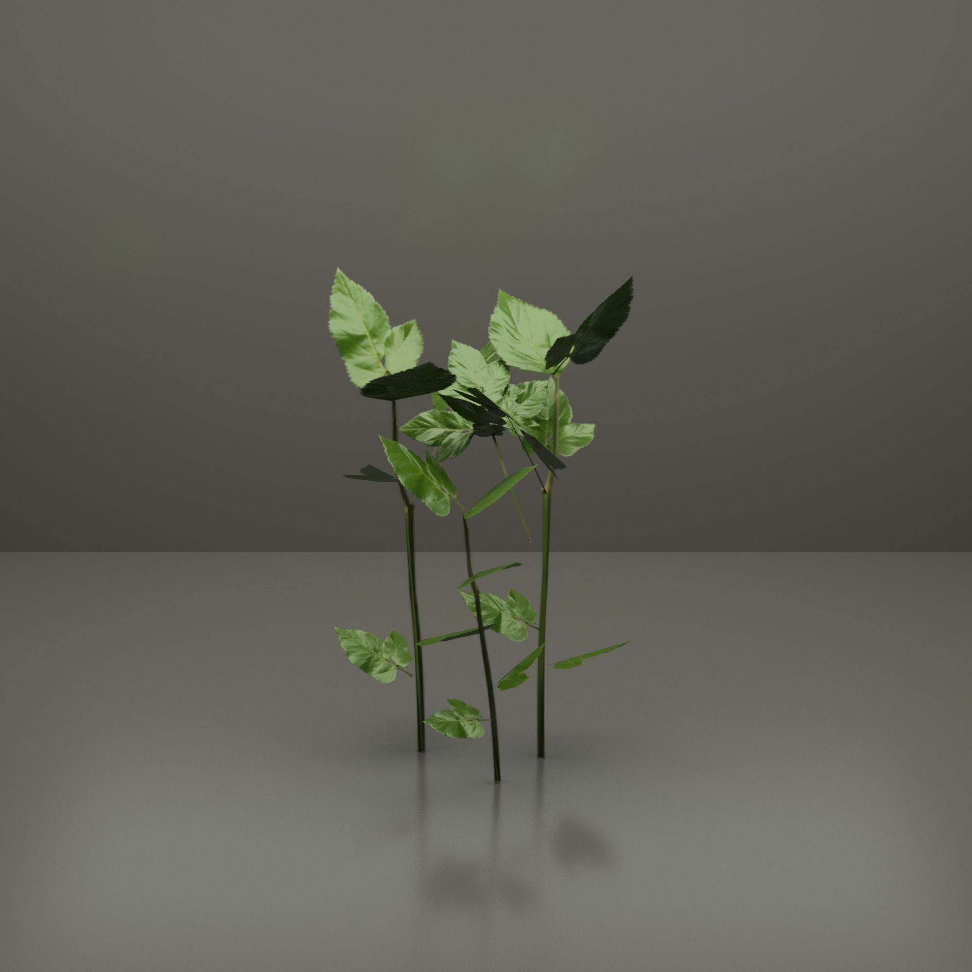 Small Plants Low-poly 3D model_3