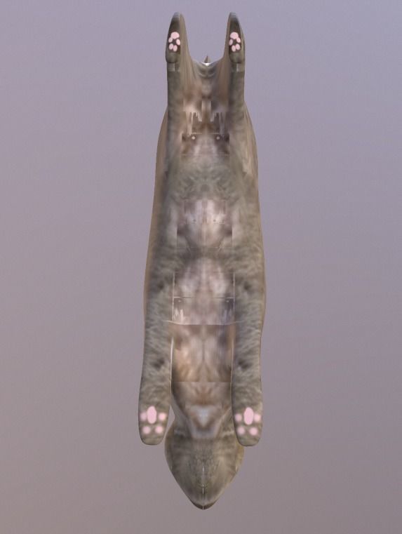 Bunny 3 Different Looks Low-poly 3D model_7