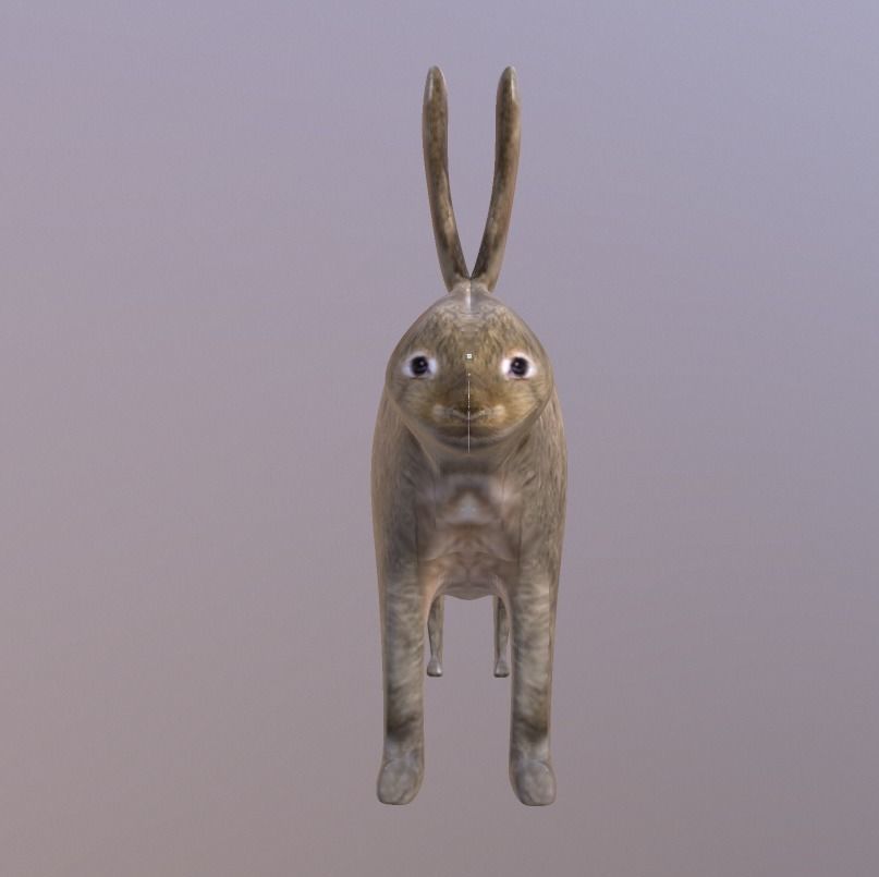 Bunny 3 Different Looks Low-poly 3D model_8