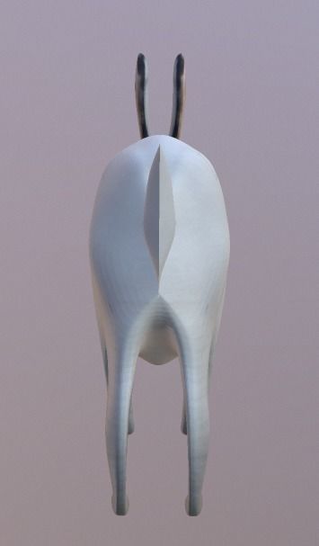 Bunny 3 Different Looks Low-poly 3D model_10