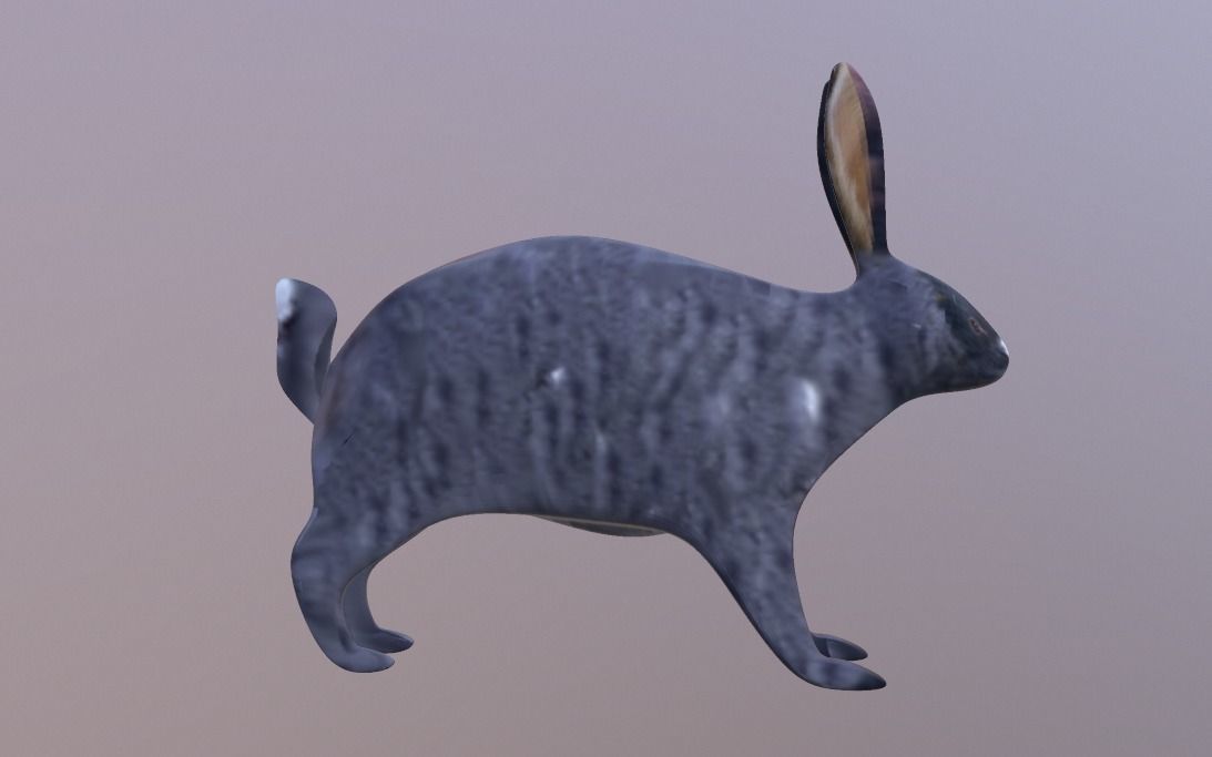Bunny 3 Different Looks Low-poly 3D model_5