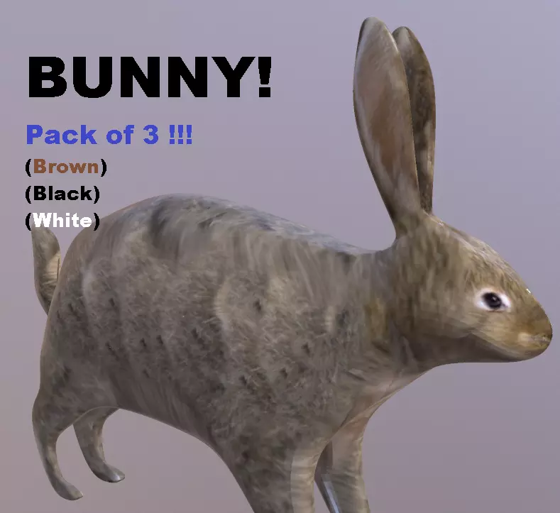 Bunny 3 Different Looks Low-poly 3D model_0