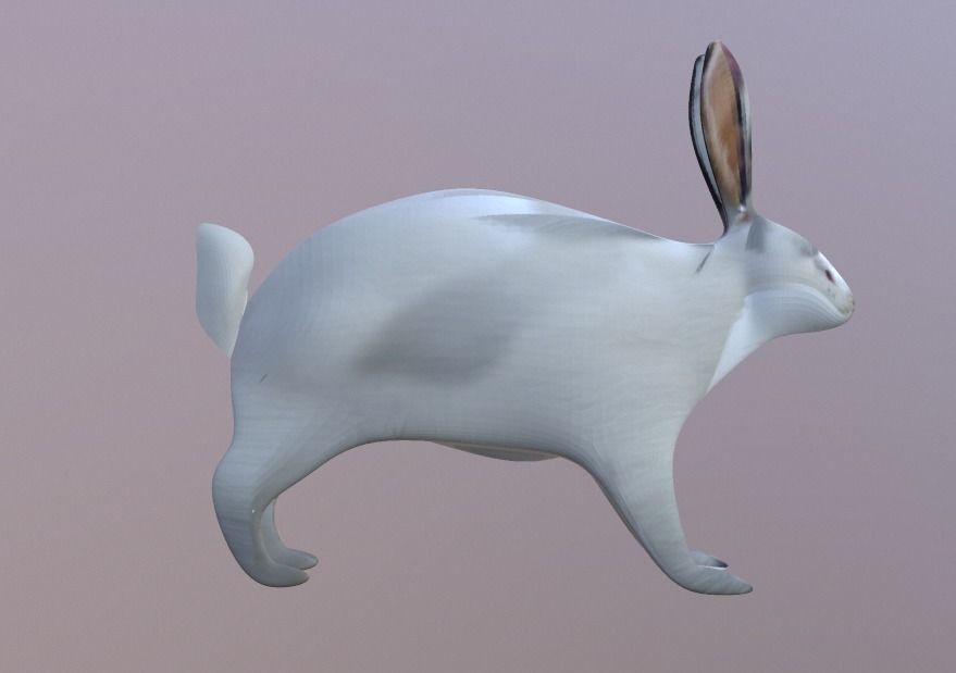 Bunny 3 Different Looks Low-poly 3D model_13