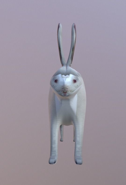 Bunny 3 Different Looks Low-poly 3D model_12