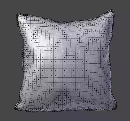 Voyage Cushion- Flowers -Piped Pillow