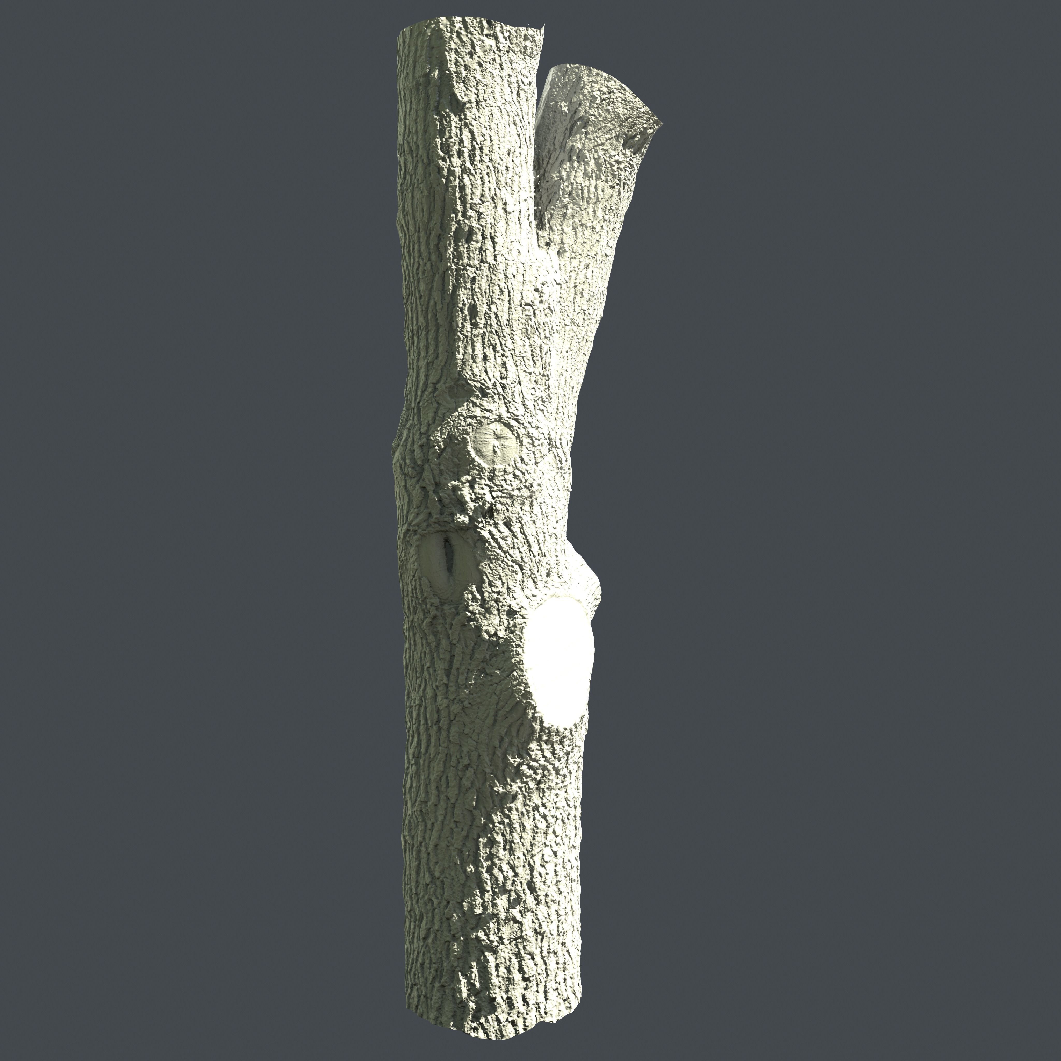 PBR Scanned Tree Trunk Low-poly 3D model_1