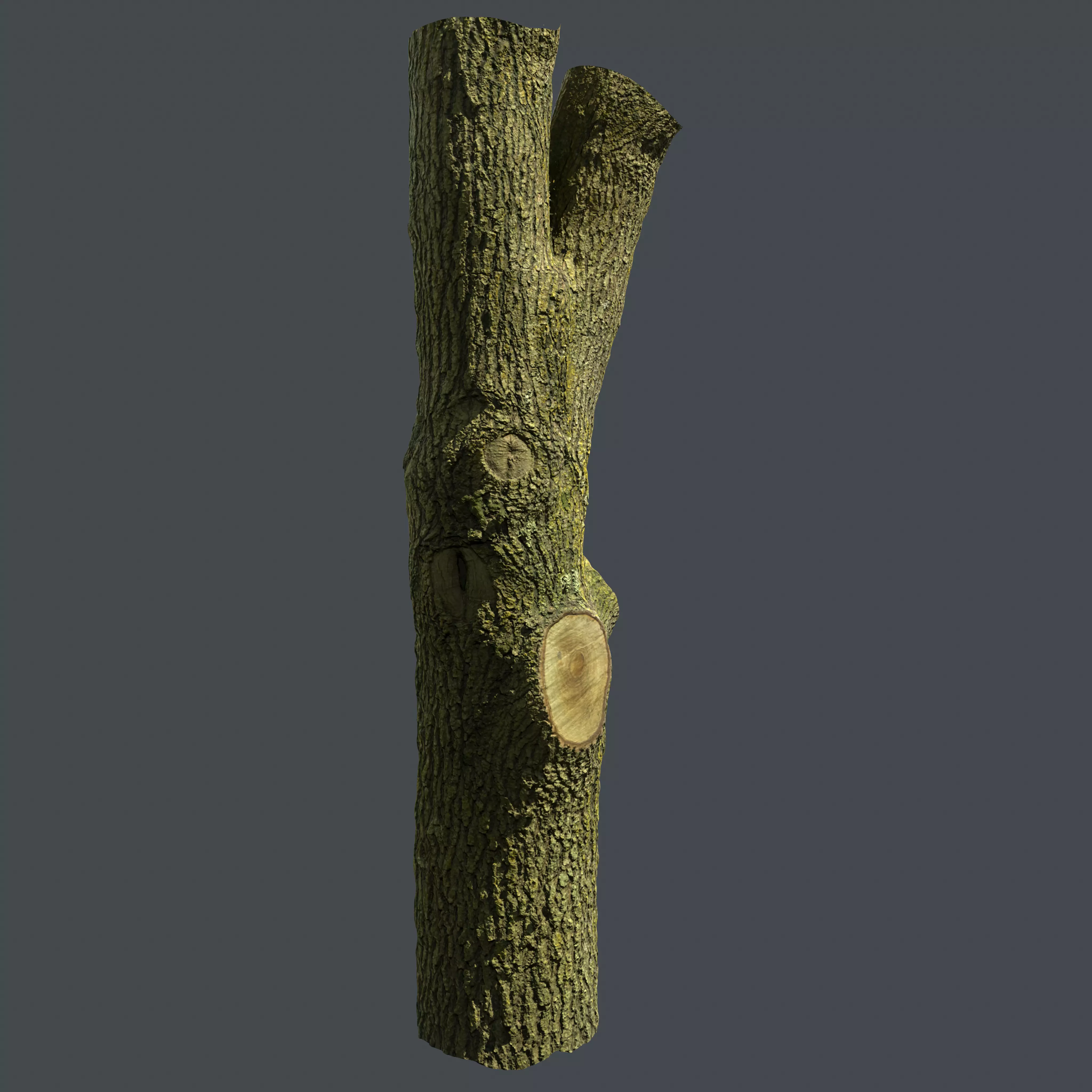 PBR Scanned Tree Trunk Low-poly 3D model_0