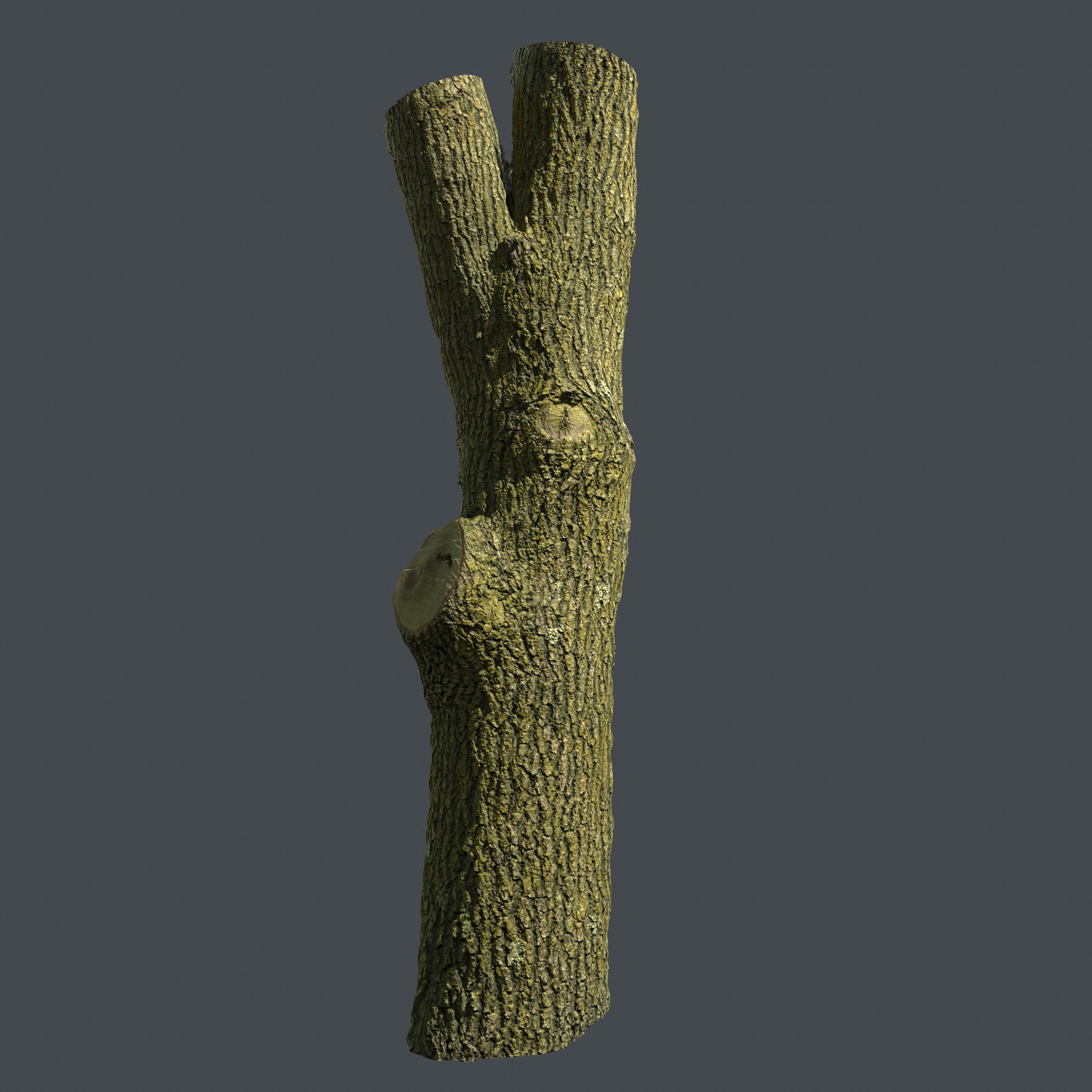 PBR Scanned Tree Trunk Low-poly 3D model_2