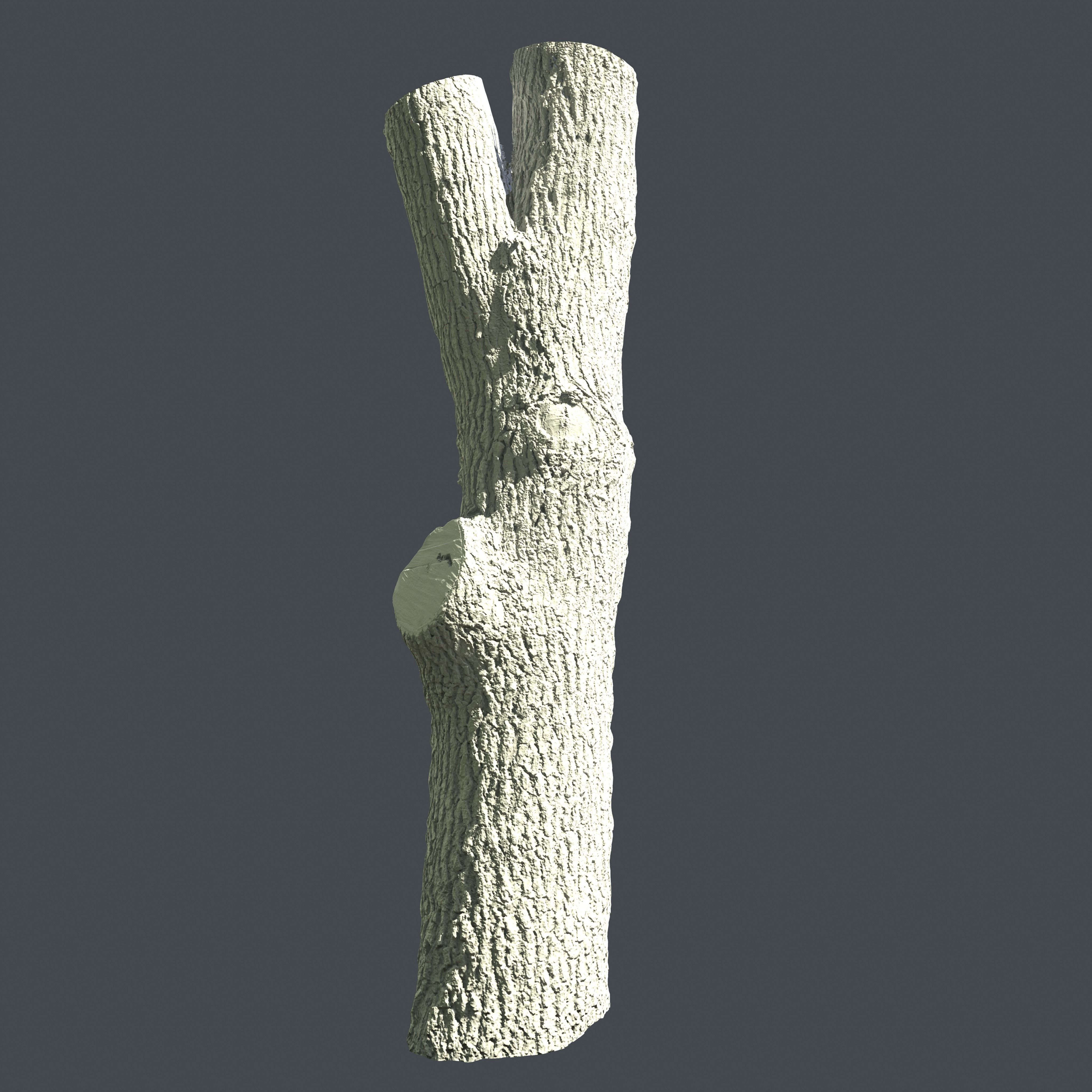 PBR Scanned Tree Trunk Low-poly 3D model_3