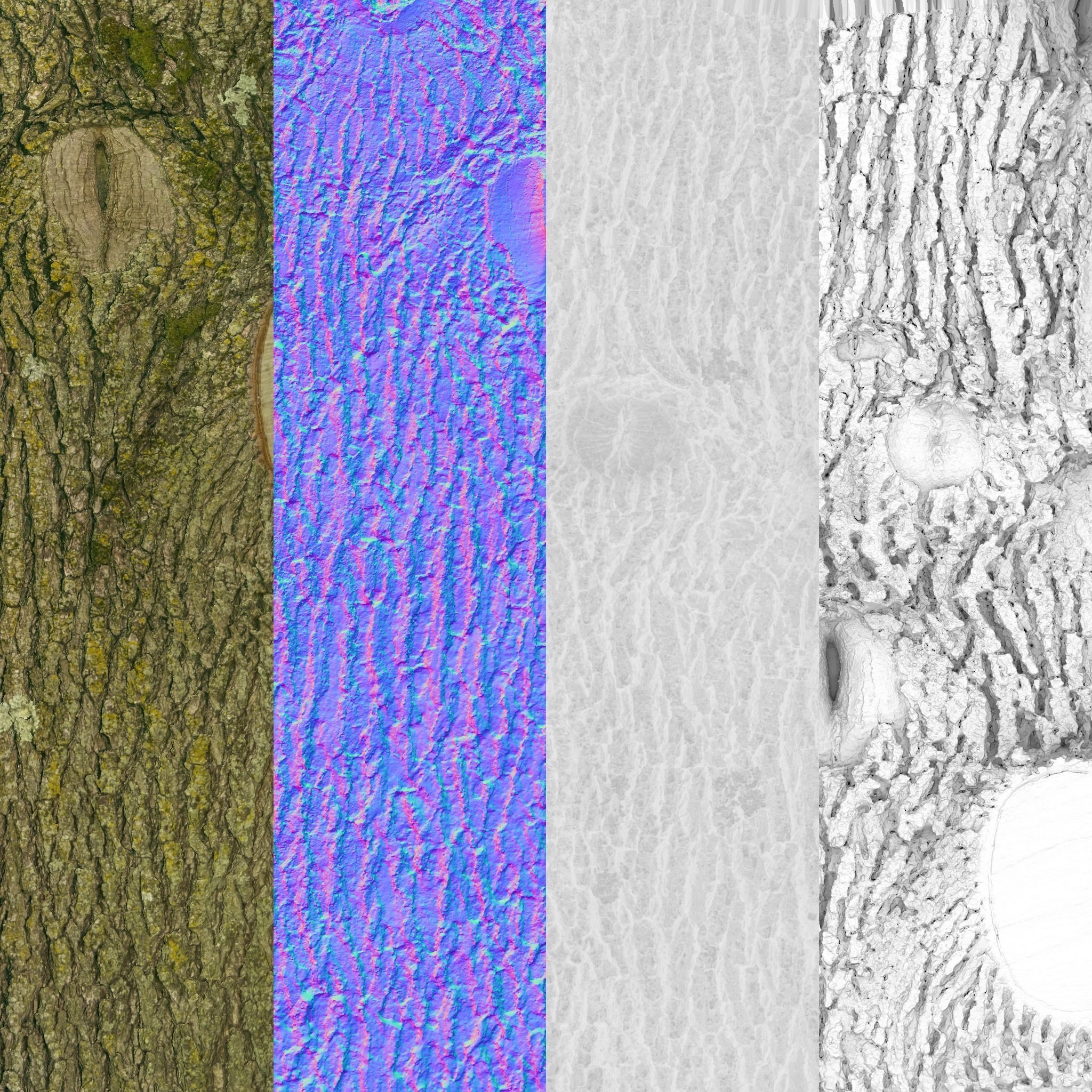 PBR Scanned Tree Trunk Low-poly 3D model_4