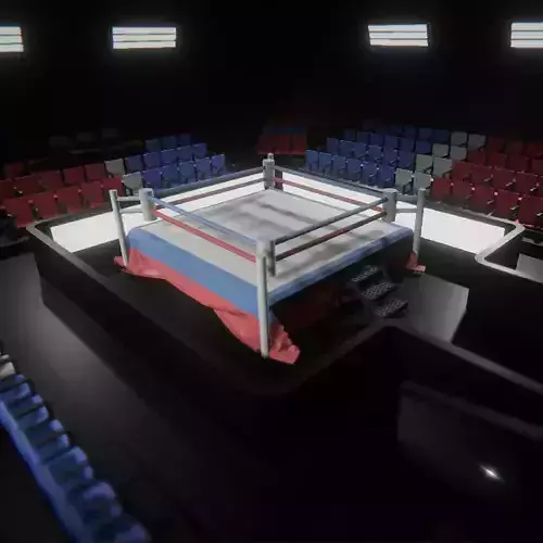 Boxing Arena