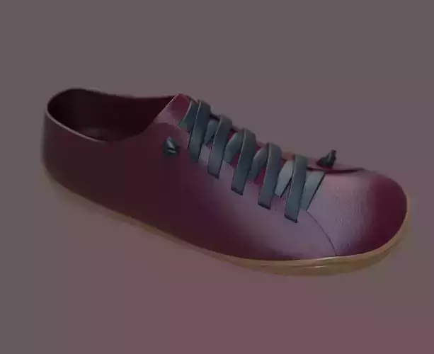 Camper Shoe 3D model