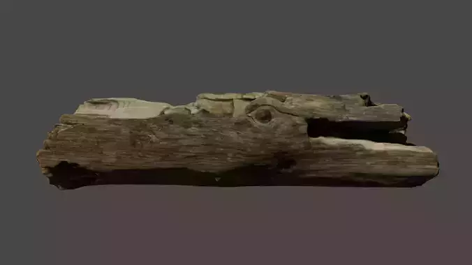 Photo-realistic floating wood Free 3D model