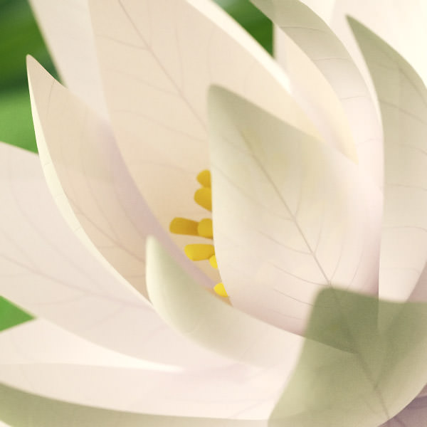 Water lily 3D model_3