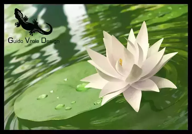 Water lily 3D model Water lily 3D model